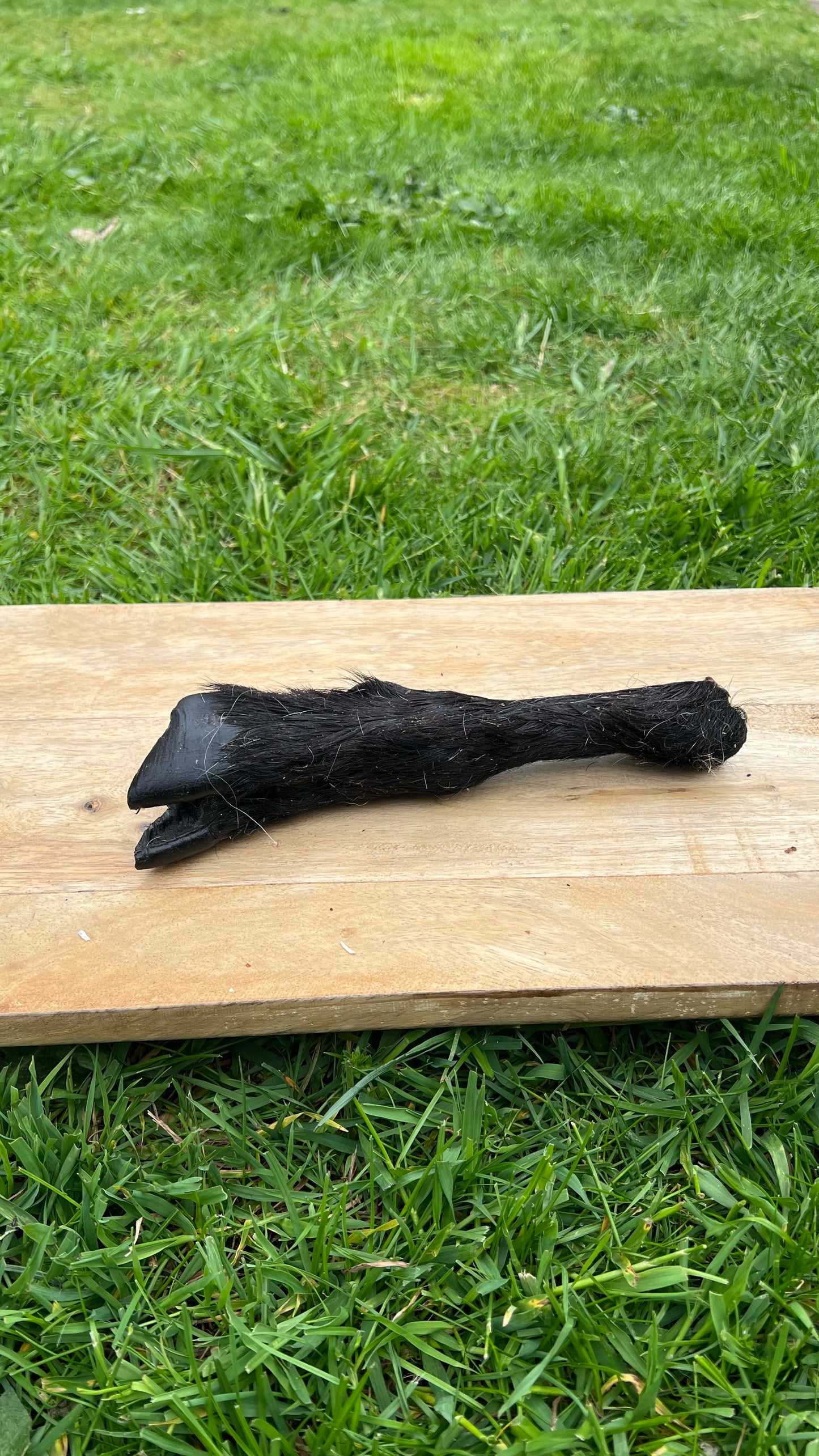 Lamb leg out of date- £1.50 now £1