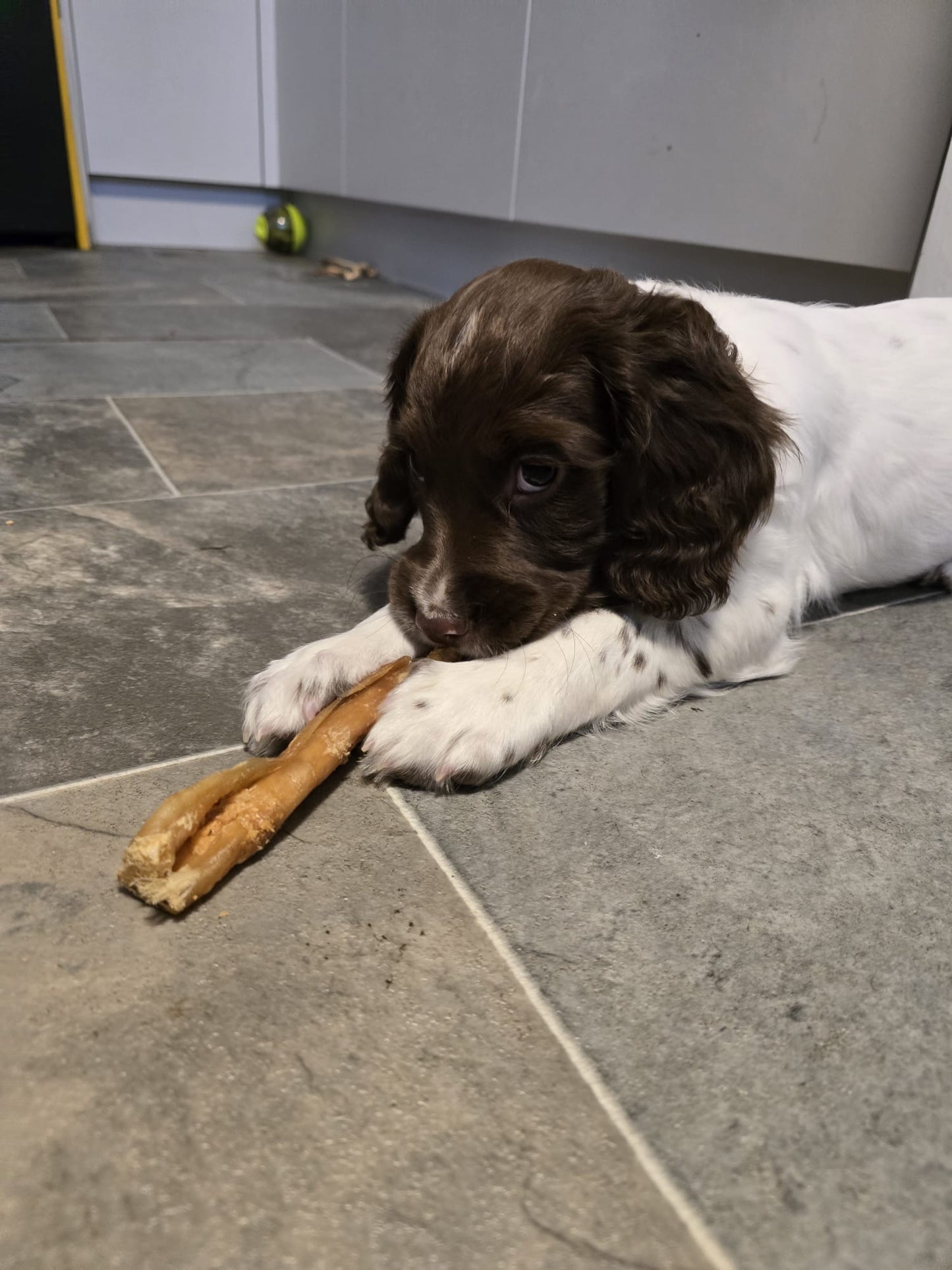 Mini bully muscle 100g