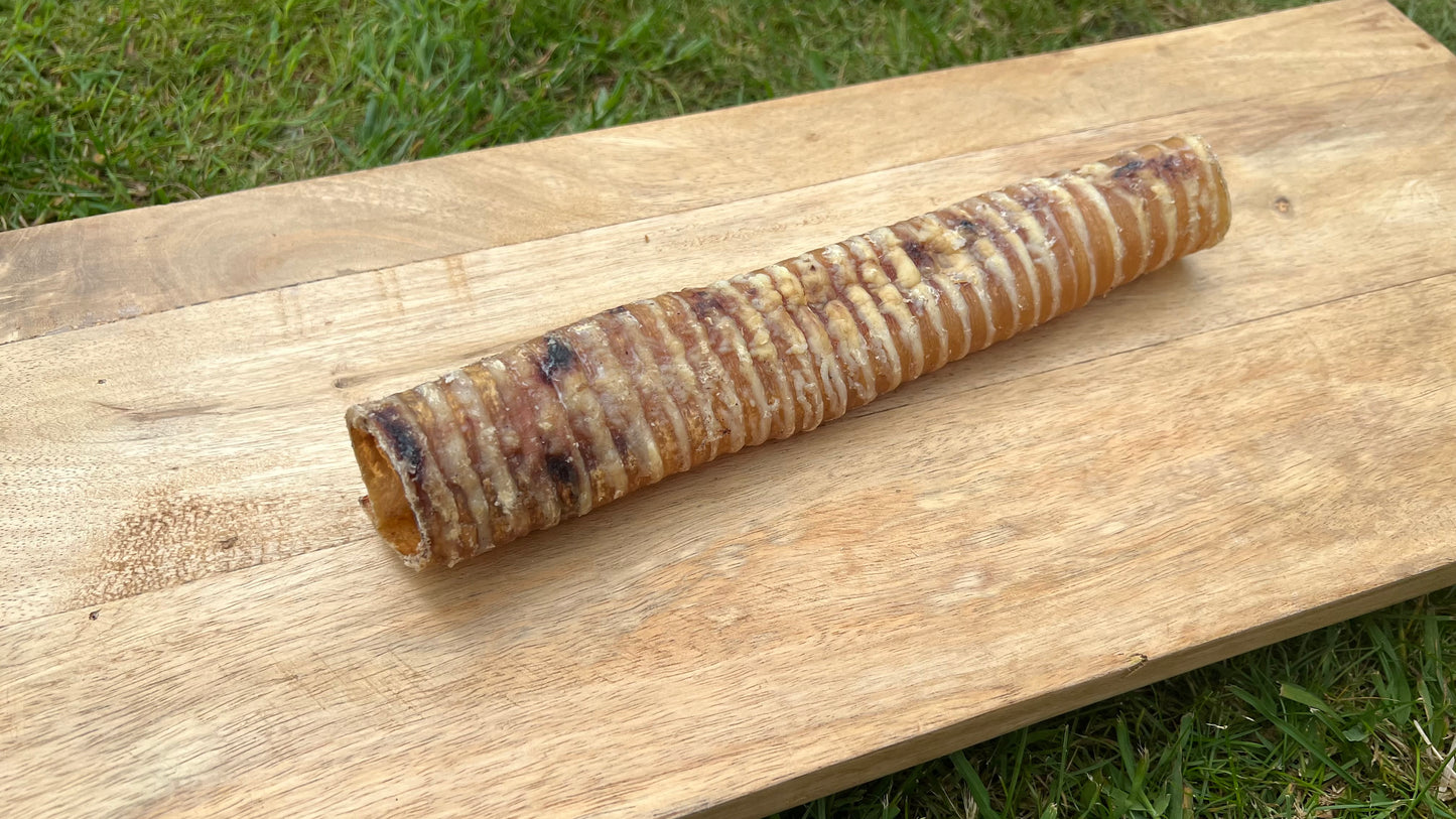 Beef Trachea 24cm
