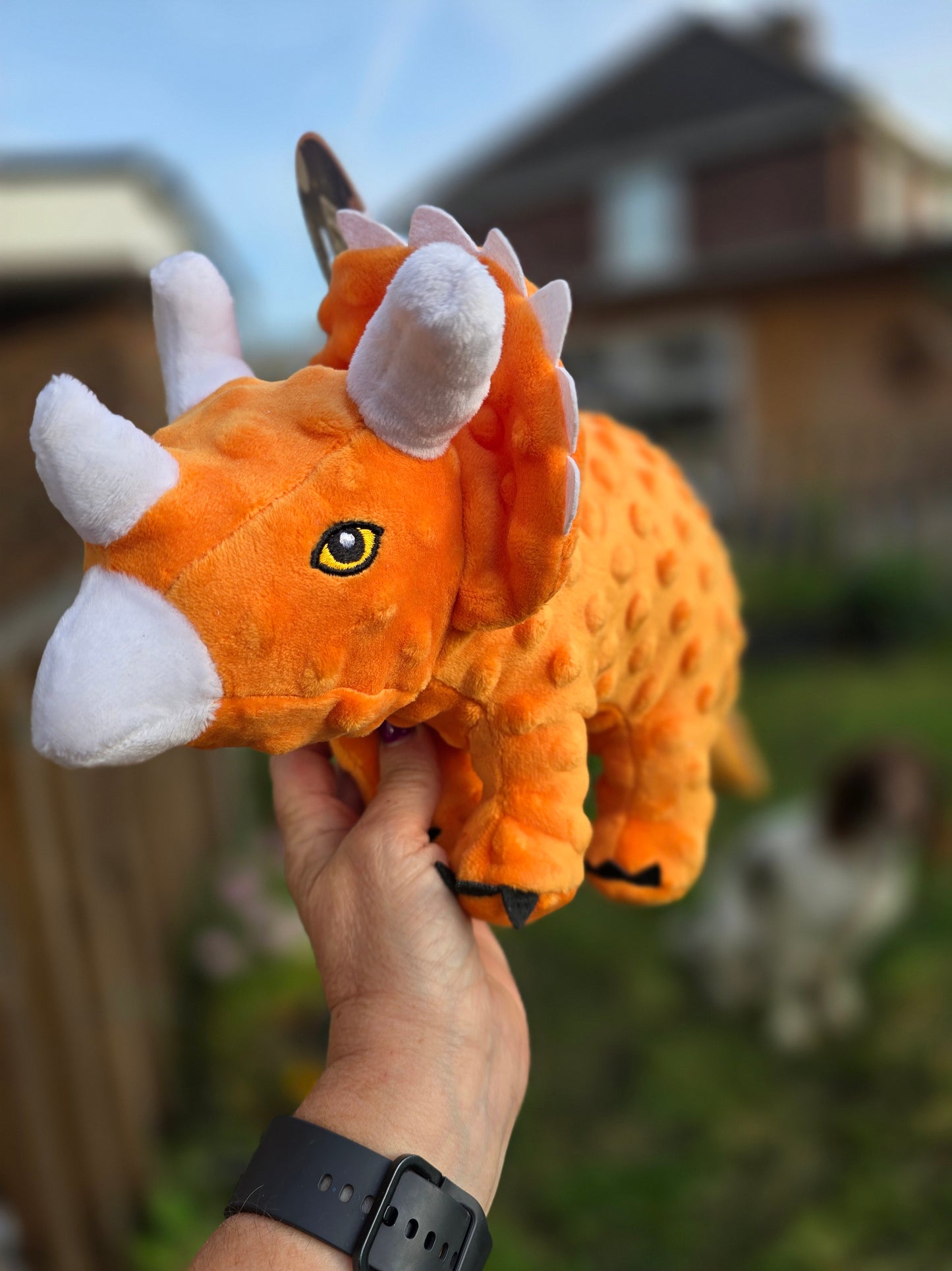 Dinosaur Toy