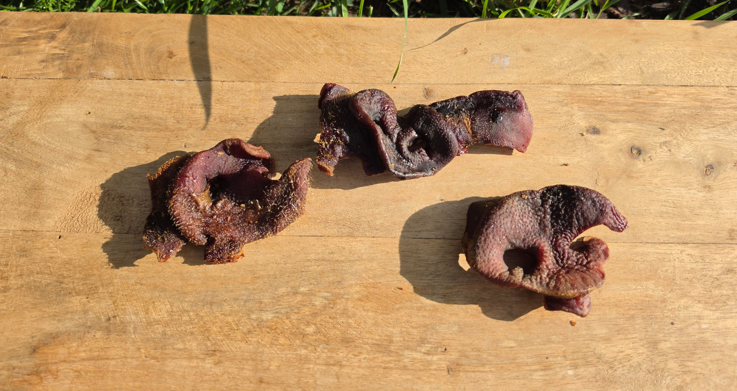 Pig Snouts 100g