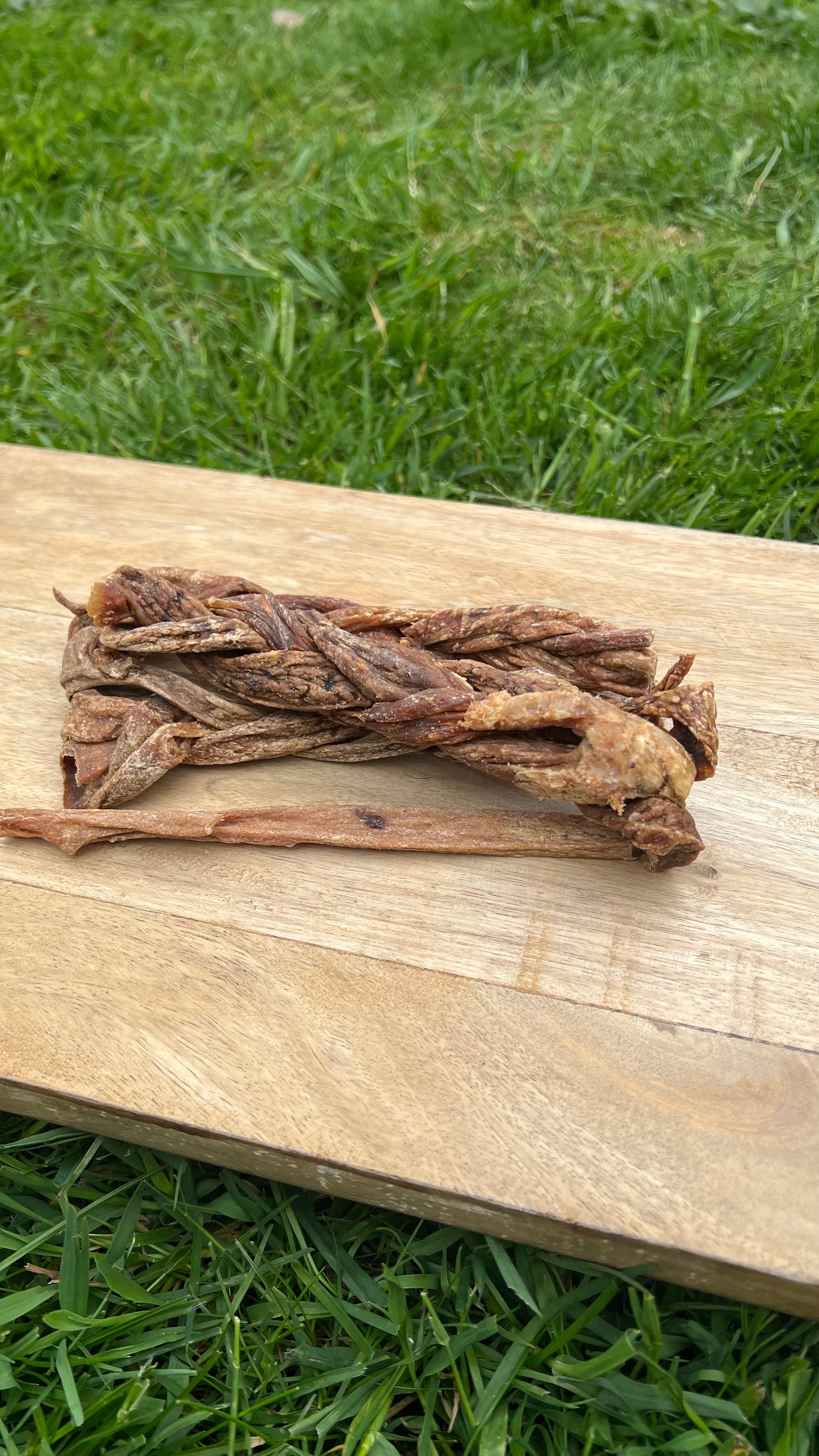 Braided Cows Udder