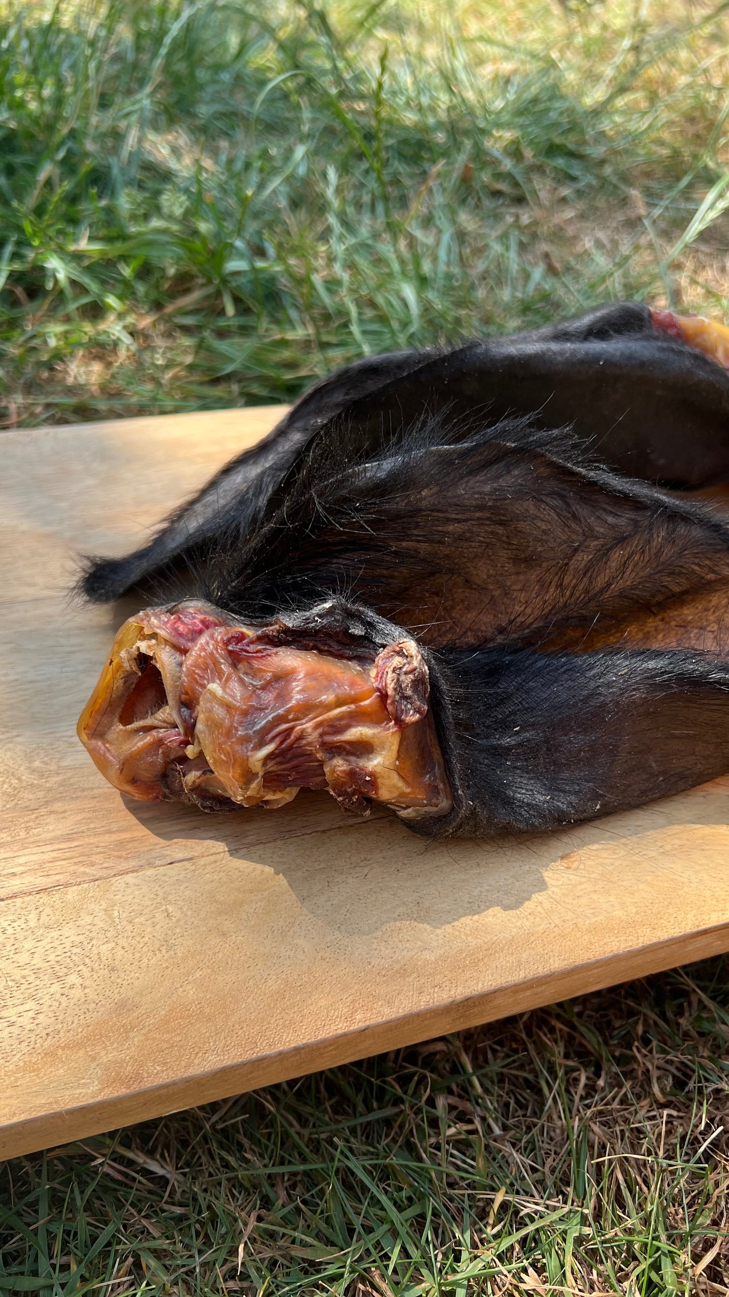 Buffalo Ears