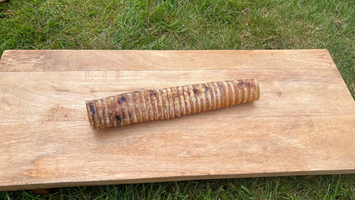 24cm Beef Trachea