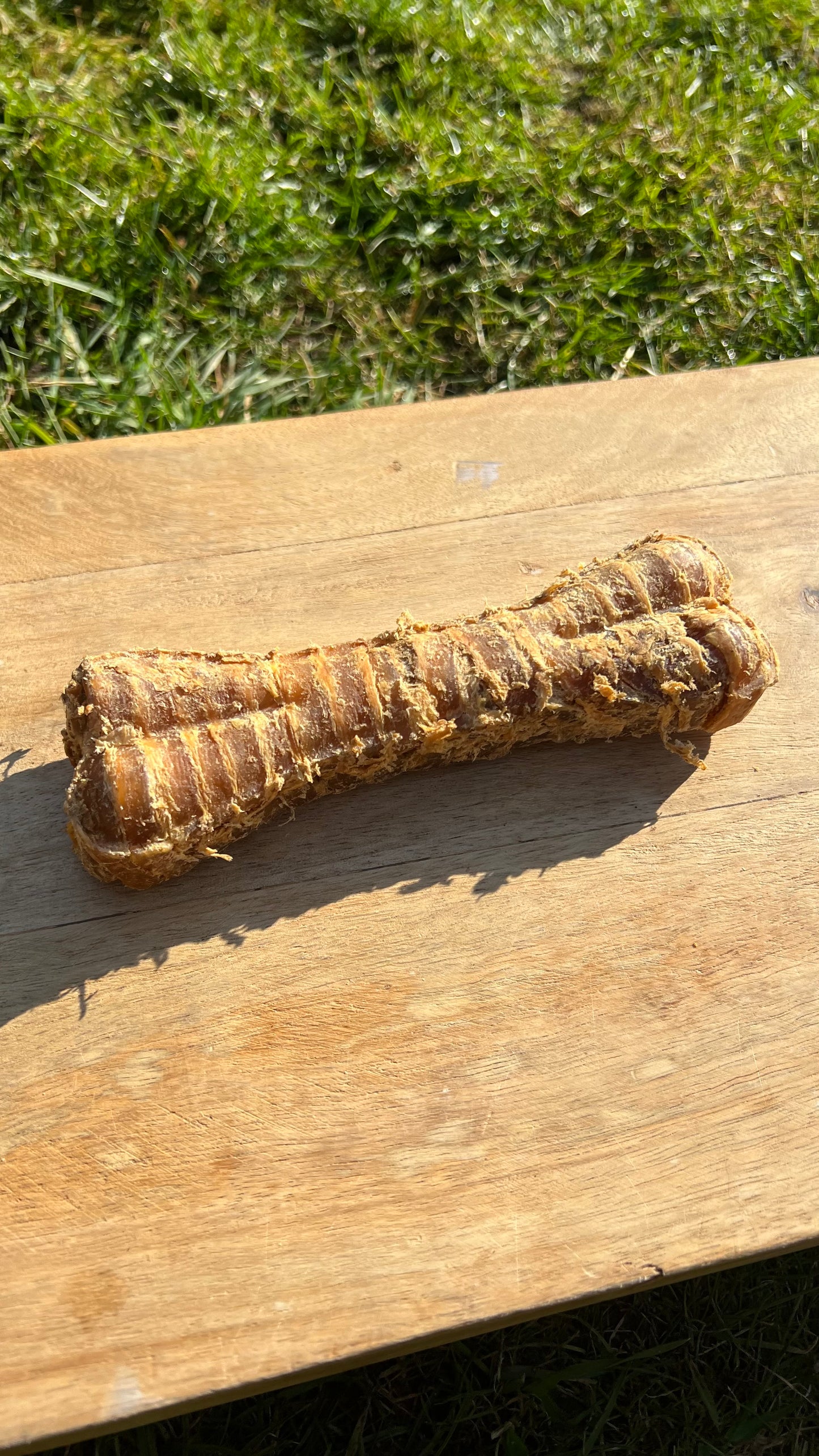 Buffalo trachea bone