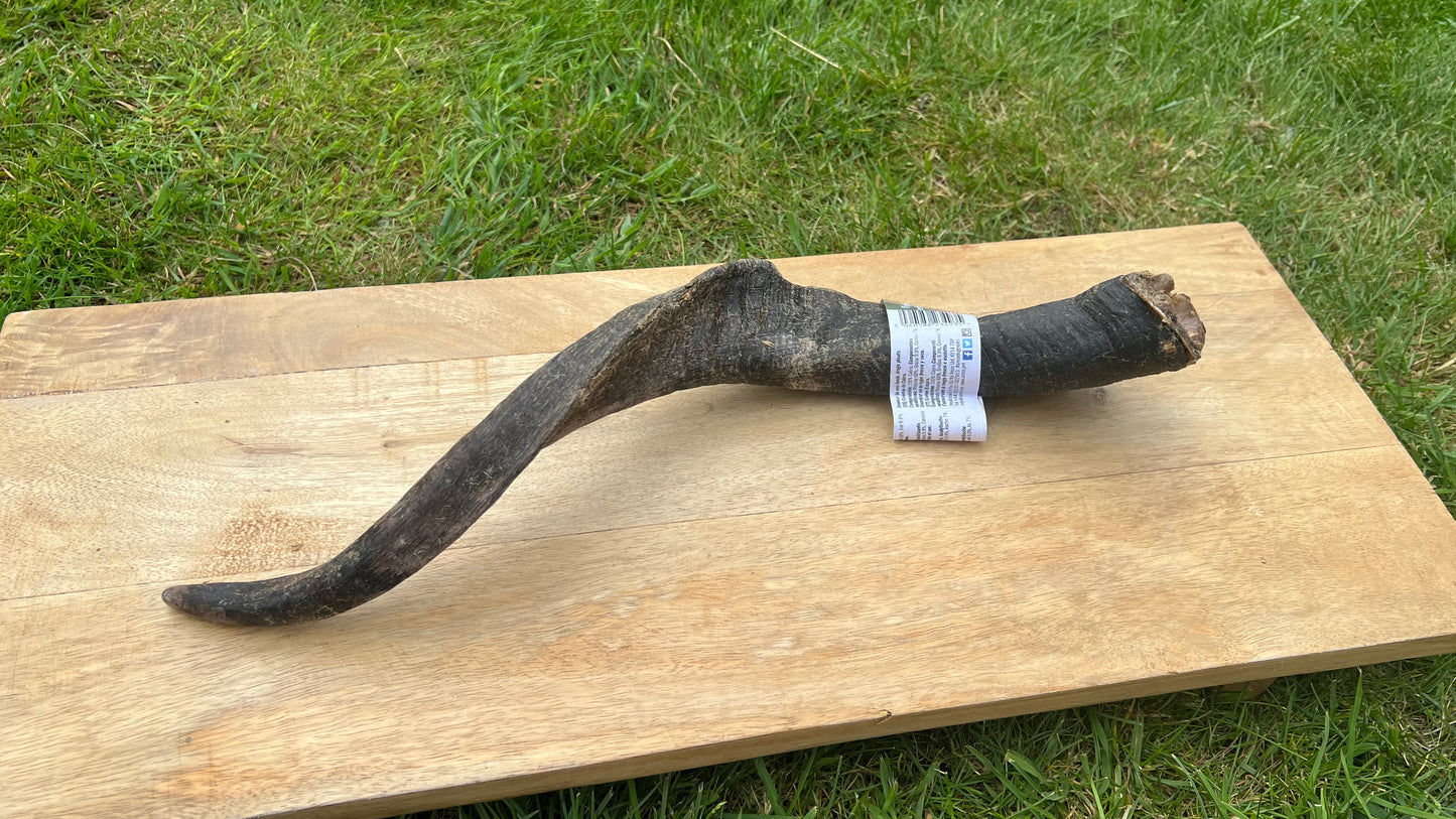 Mega goat Horn