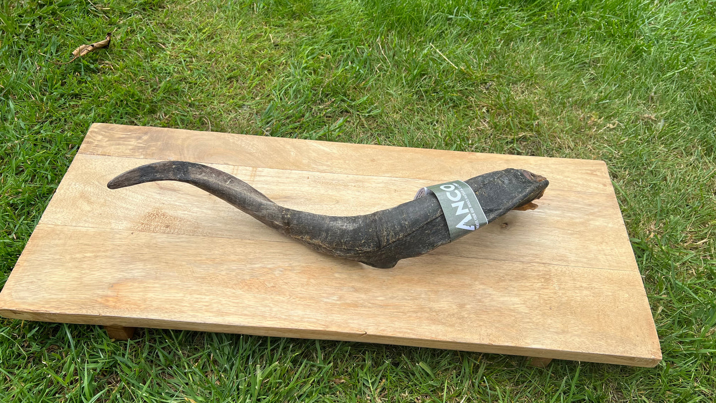 Mega goat Horn