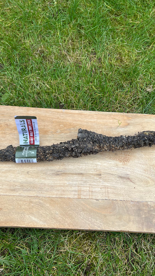 Beef tripe stick giant