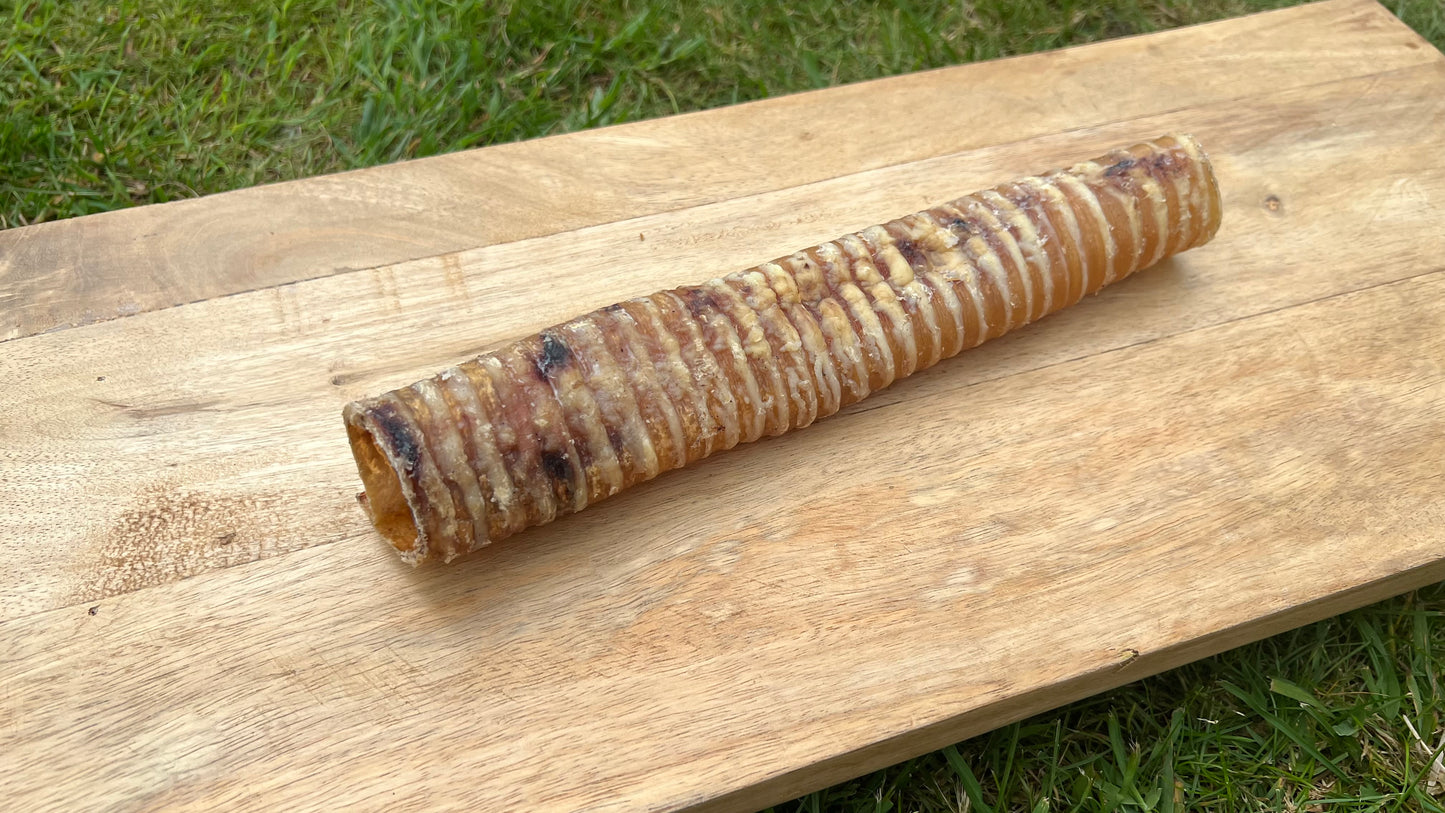 24cm Beef Trachea