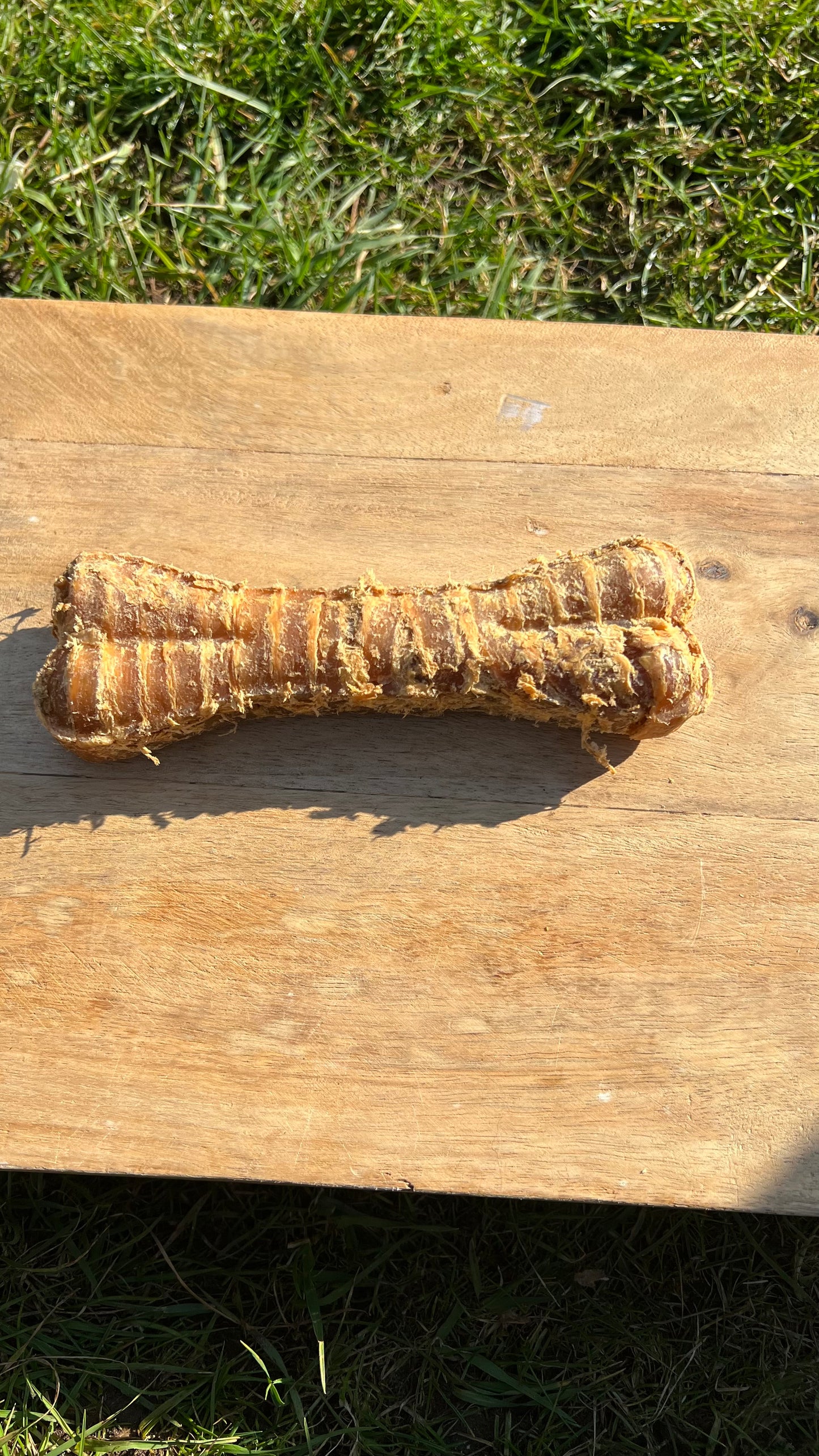 Buffalo trachea bone
