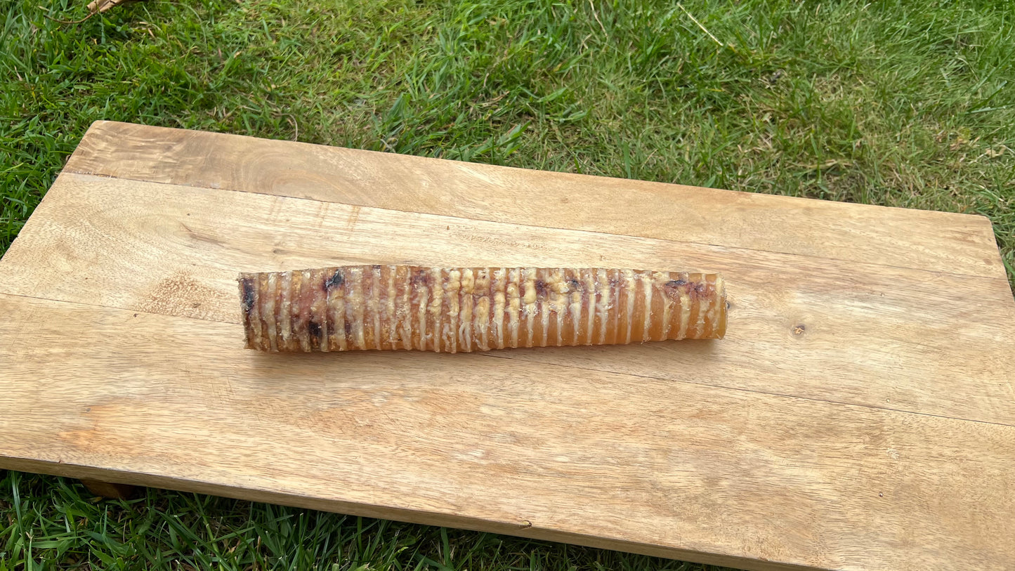 24cm Beef Trachea