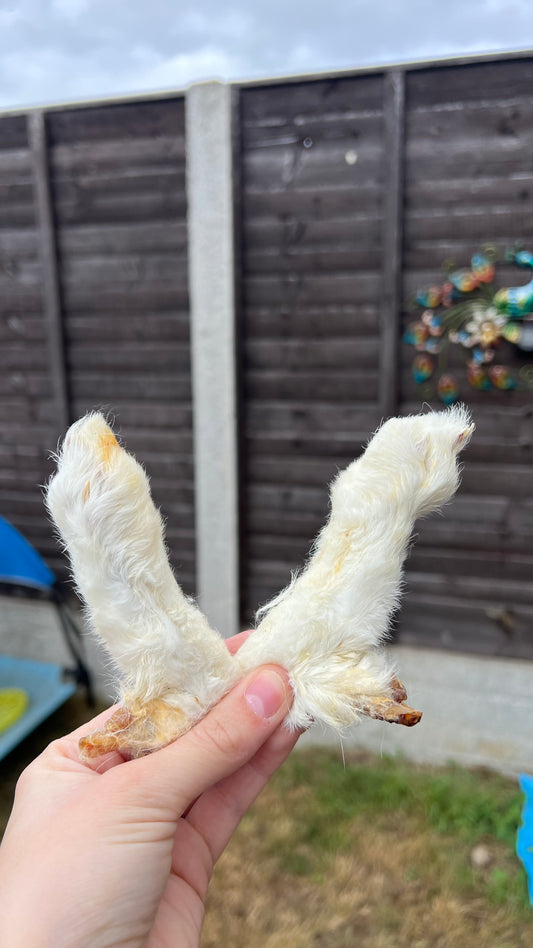 Rabbit feet