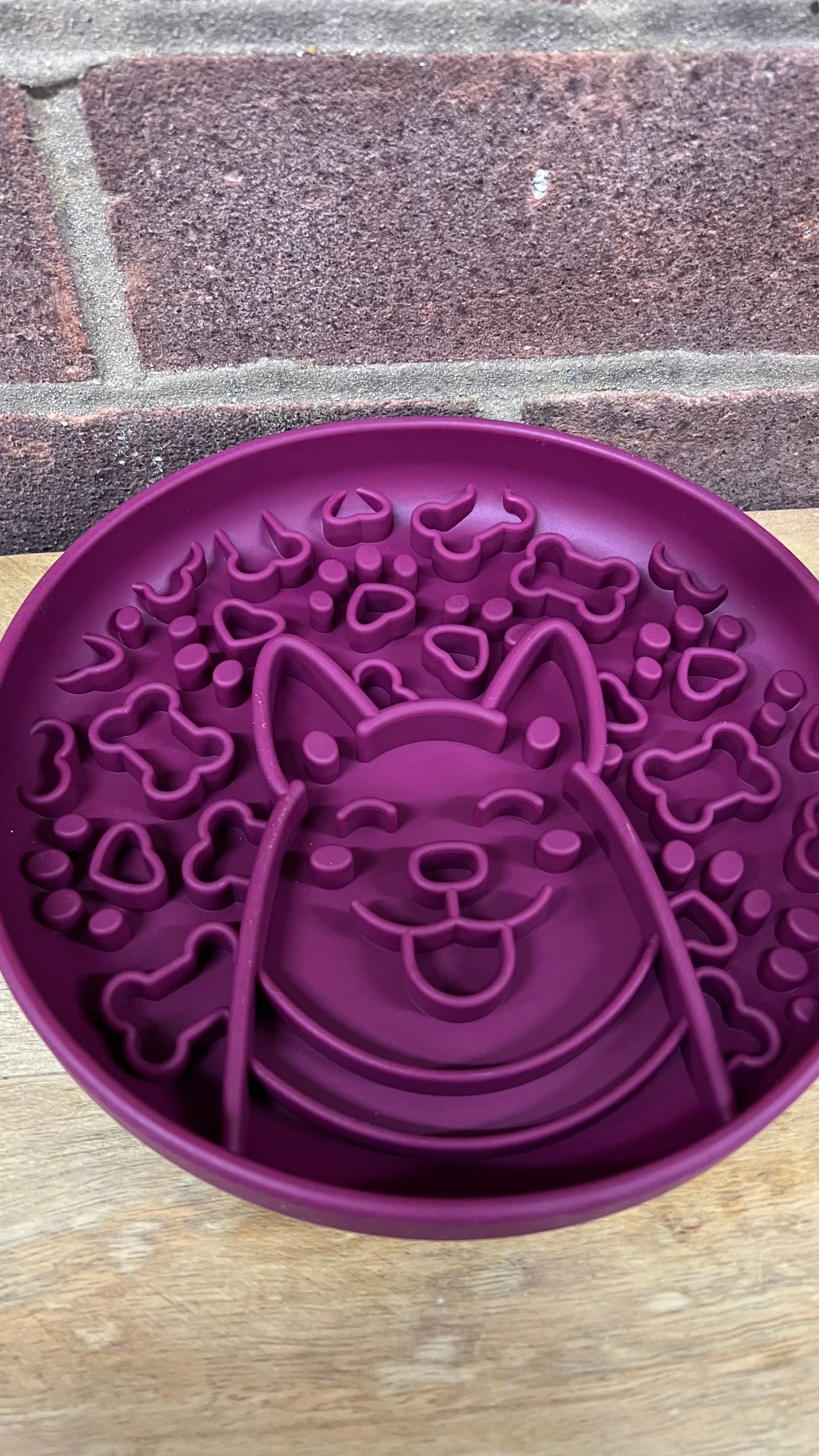 Dog Enrichment Bowl