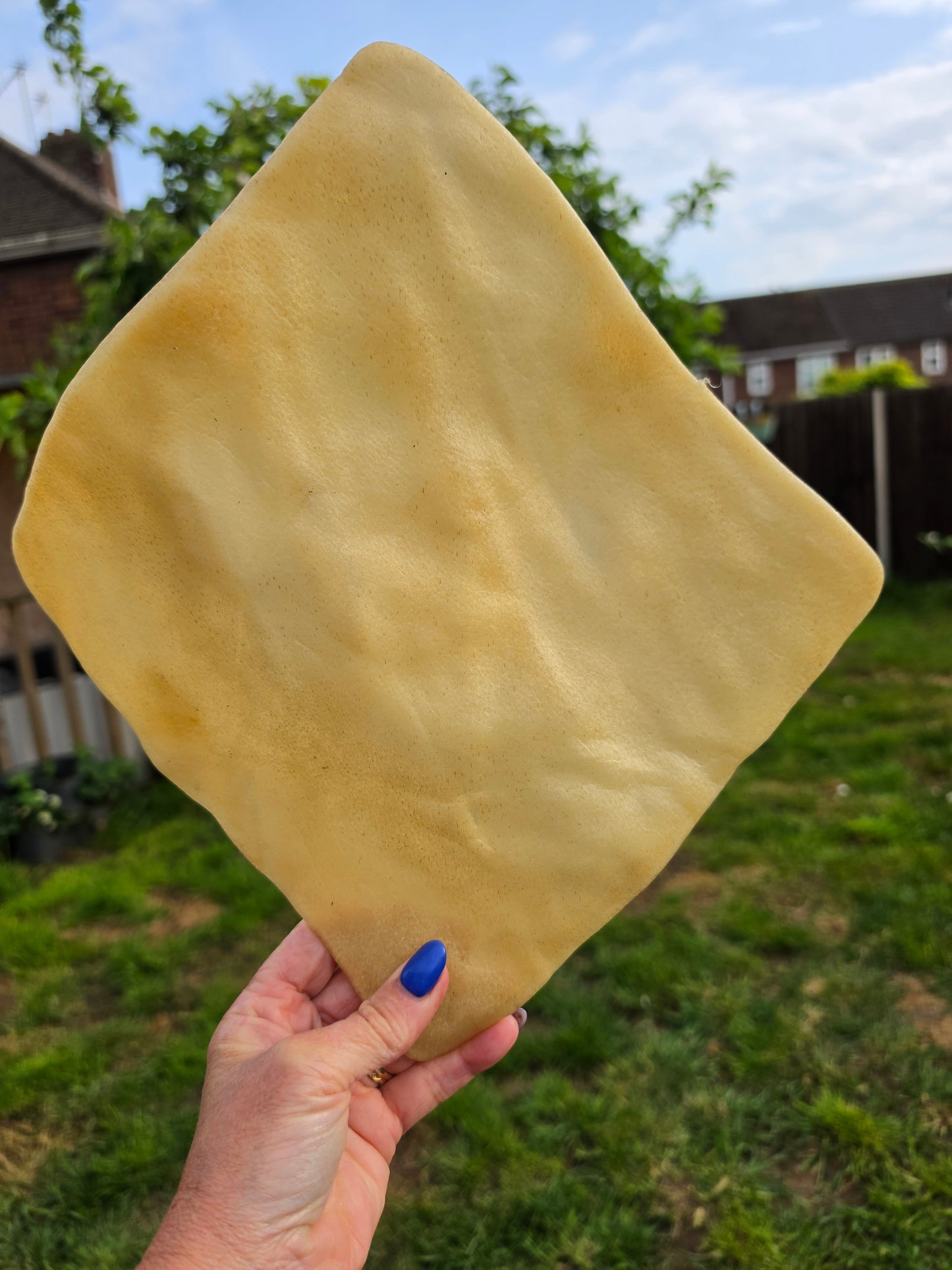 Buffalo Skin Plate