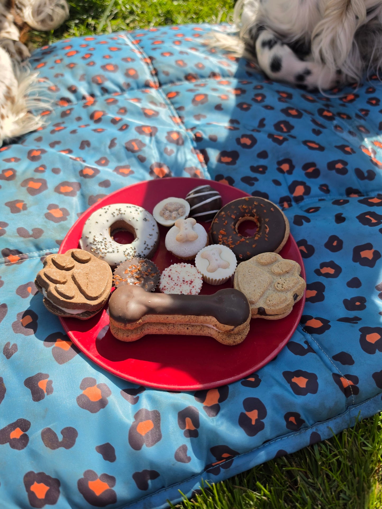 Ruffington Birthday Goodies
