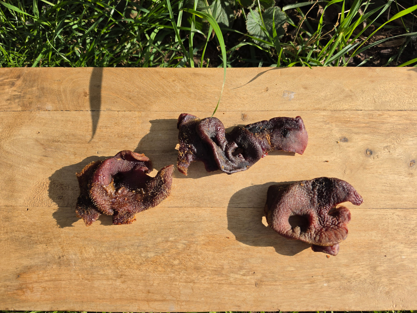Pig Snouts 100g
