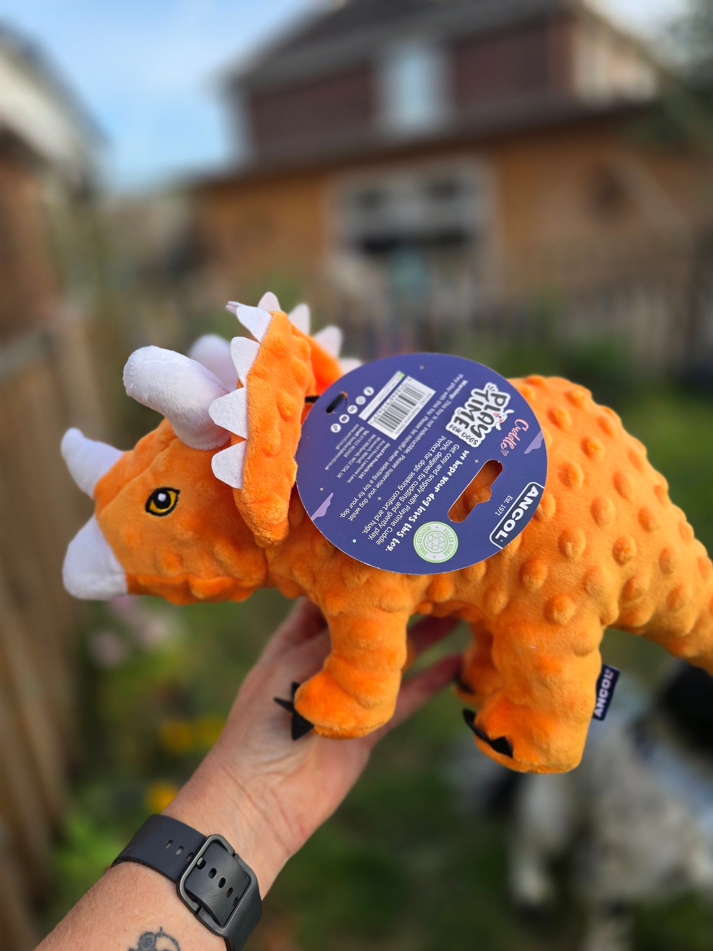 Dinosaur Toy