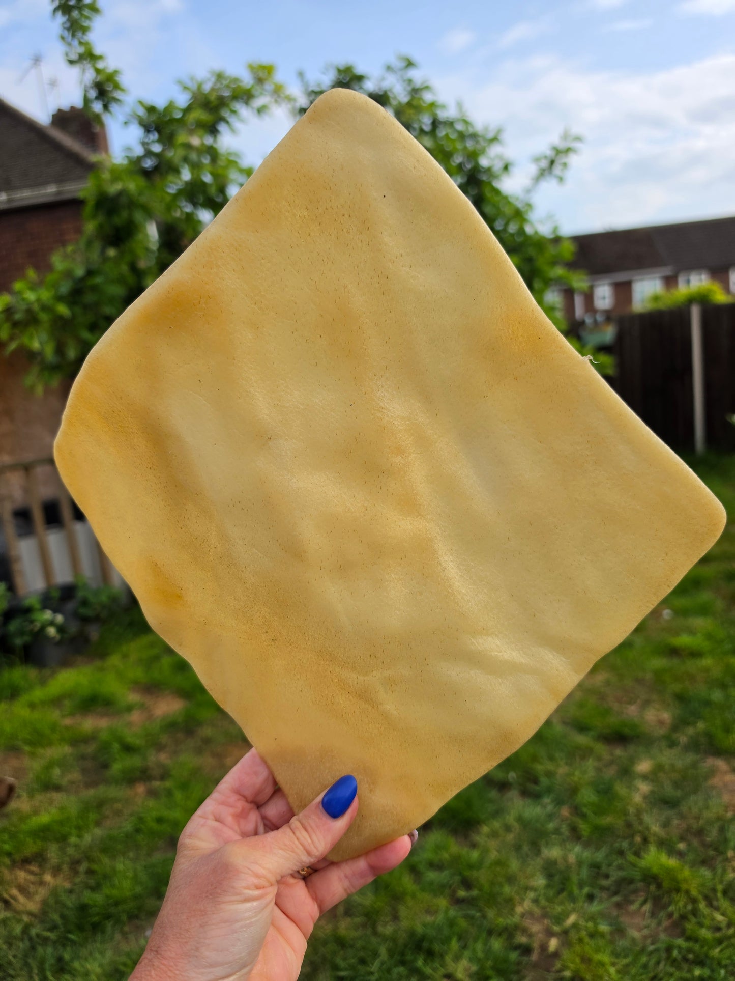 Buffalo Skin Plate