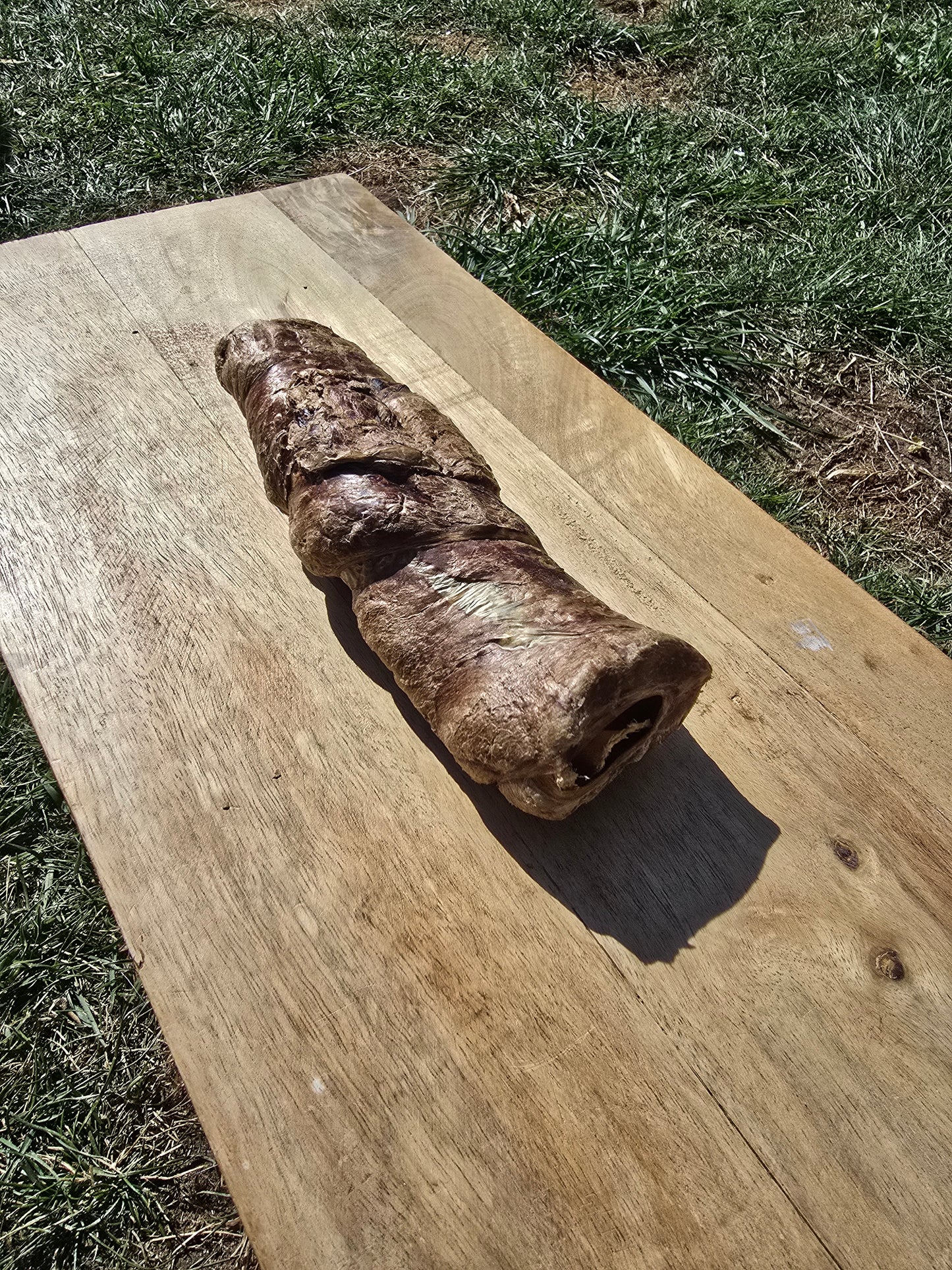 Buffalo wrapped trachea