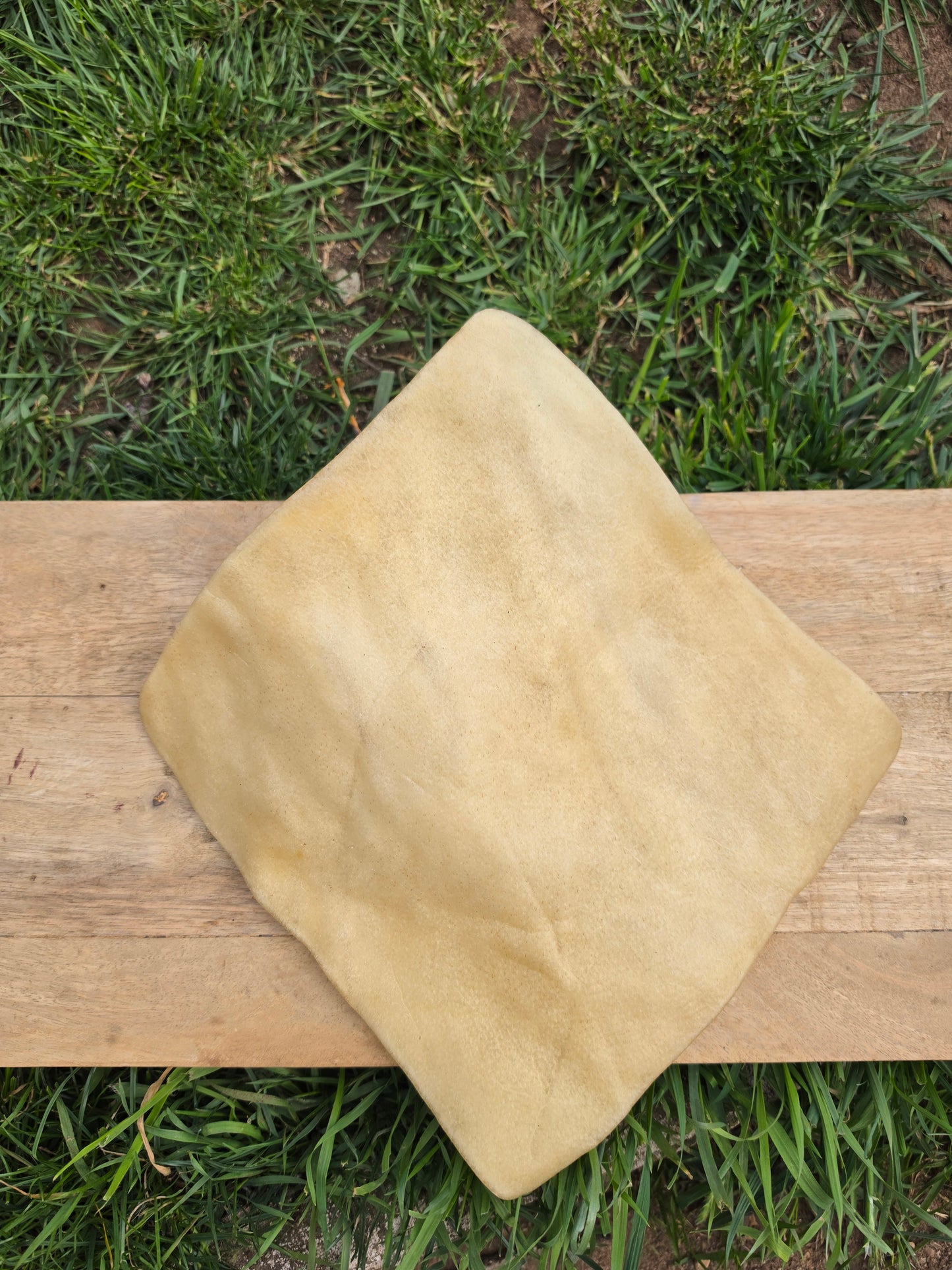 Buffalo Skin Plate