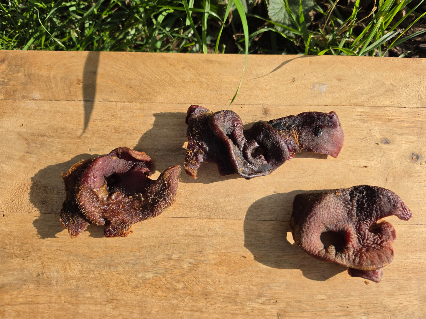 Pig Snouts 100g