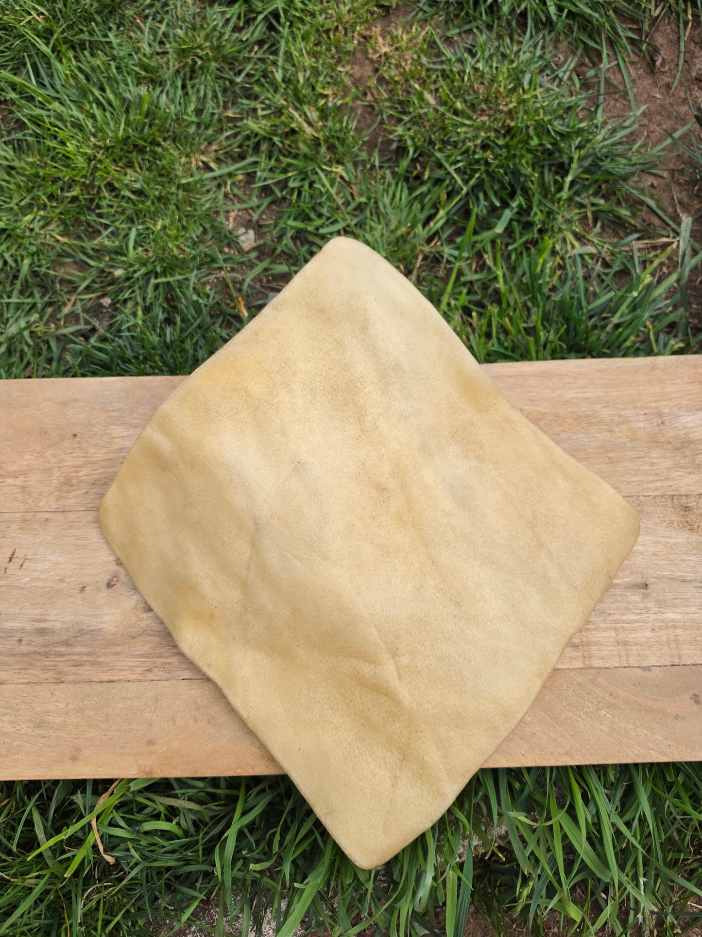 Buffalo Skin Plate