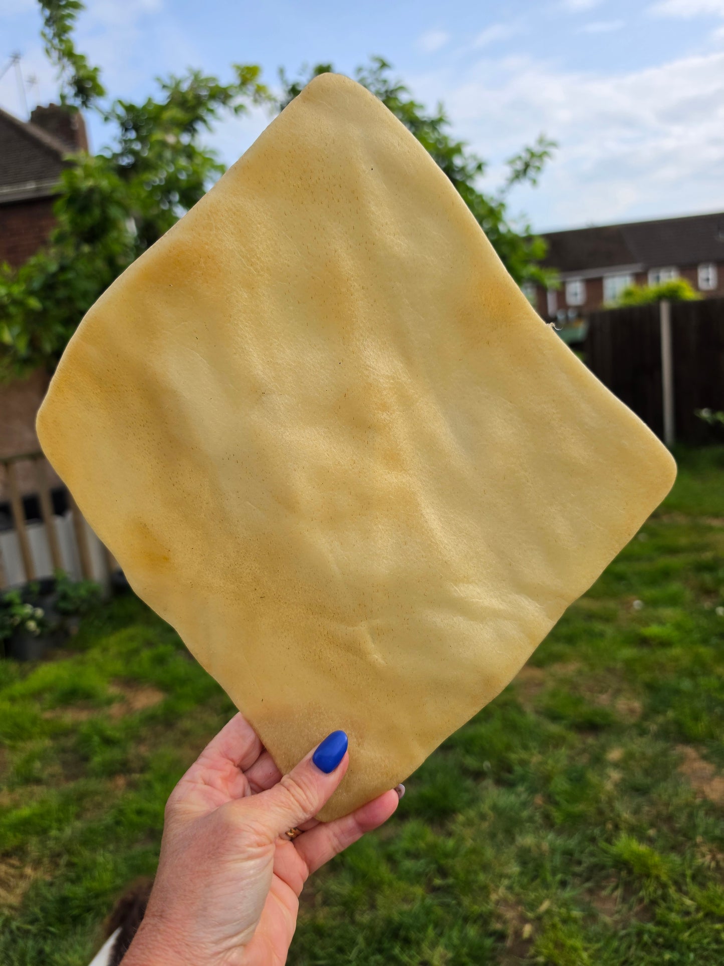 Buffalo Skin Plate