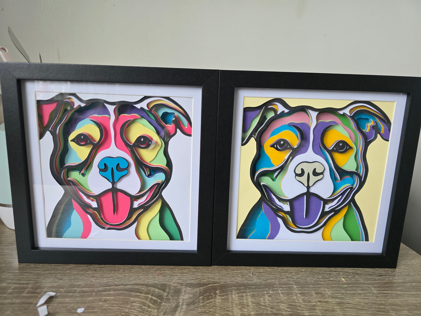 Framed Animal Art