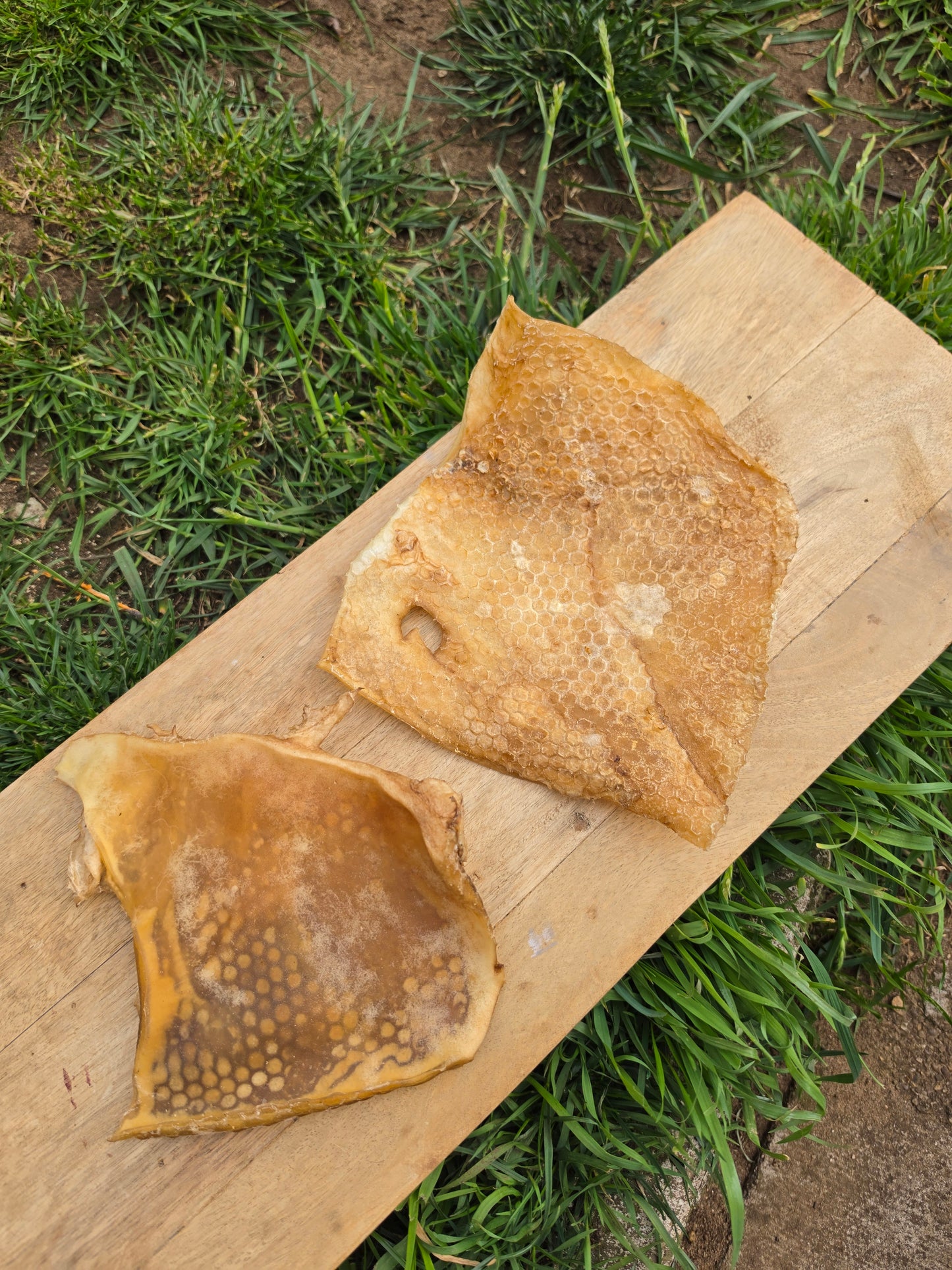 Beef Skin Plate