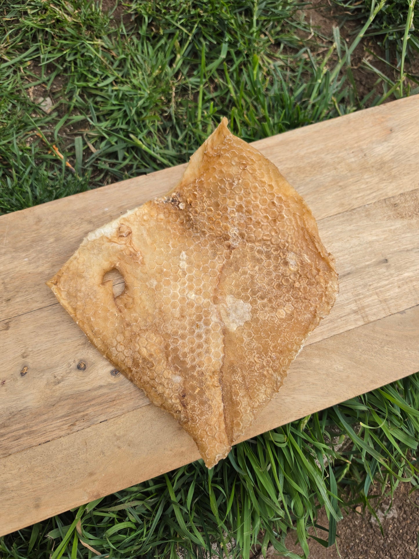 Beef Skin Plate