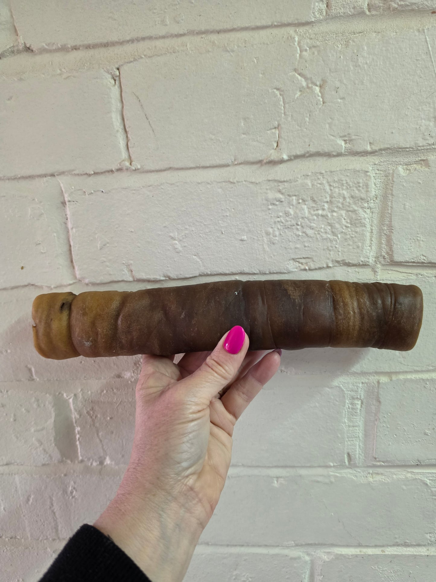 Camel roll Large